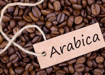 Giá cà phê arabica sẽ phục hồi trong năm 2020