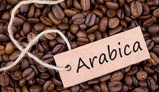 Giá cà phê arabica sẽ phục hồi trong năm 2020