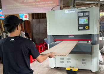 Hỗ trợ ứng dụng máy móc thiết bị tiên tiến trong sản xuất gỗ gia dụng