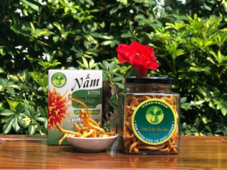 [ Châu Đức ] Công ty TNHH nấm sinh học Viêt Nam